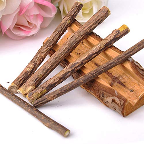 Dientes de Limpieza de Gato Natural Catnip Pet Cat Molar Pasta de Dientes Stick Matatabi Actinidia Fruit Silvervine Cat Snacks Sticks