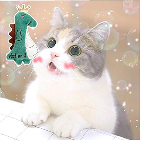 Dientes Moler Catnip Toy Fun Fun Interactive Pelush Cat Toy Pet Kitten Masticar Cuerdas vocales Pájaro Pequeño Animal Catnip Perro Peluchetoys