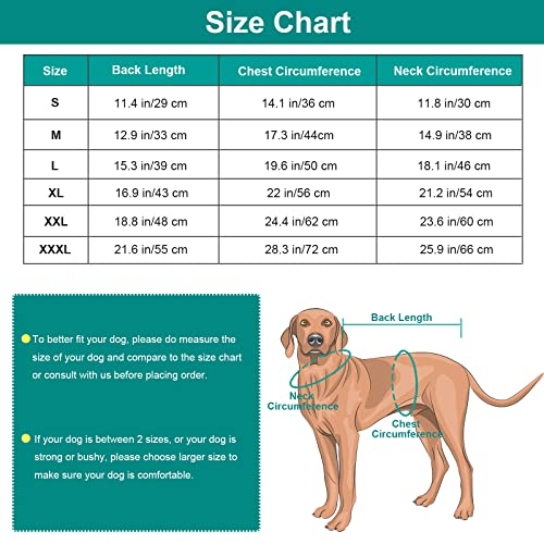 Disfraz de Dinosaurio para Perros pequeños, Disfraz de Cachorro Divertido, cómodo con Capucha de Dinosaurio, Ropa de Invierno cálida y Ligera para Halloween (Verde, L)