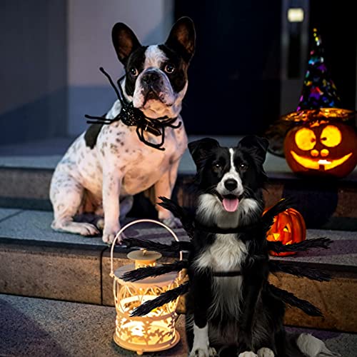 Disfraz De Halloween del Gatos Perros,Disfraz para Perro De Halloween,Mascota araña Ropa,Disfraz de Araña para Halloween,Disfraces Divertidos de Halloween para Mascotas (Negro)