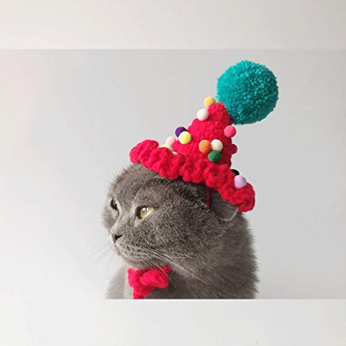 Disfraz de perro Sun regalo Party Pet Party original del perro del animal doméstico de cumpleaños Sombrero Que oso sombrero casquillo al aire libre gorra de béisbol Gorra para mascotas ( tamaño : S )
