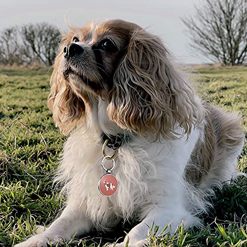 DISONTAG Placas para Perros,Placa para Perros Personalizadas,Placas para Mascotas,Placa De Identificacion Perros,41 Patrones Realistas, Pantalla De Información única | Modificable