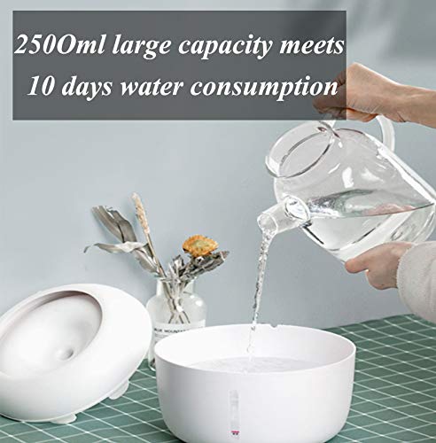 Dispensador De Agua para Mascotas, Circulación Automática, Dispensador De Agua Inteligente, Agua Que Fluye Silenciosa, Fuente para Beber, Tazón De Agua, Bebedero para Mascotas,Verde