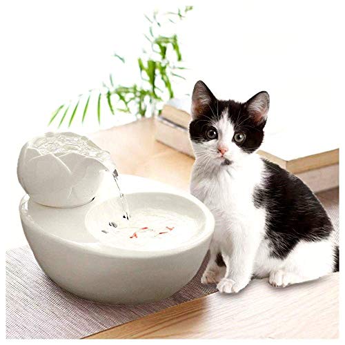 Dispensador de Agua para Mascotas para Perros o Gatos Tazón para Gatos, Agua suavizada de oxígeno Activo circulante silenciosa, Mudo fácil de Limpiar