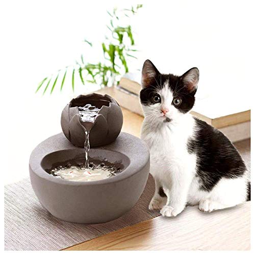 Dispensador de Agua para Mascotas para Perros o Gatos Tazón para Gatos, Agua suavizada de oxígeno Activo circulante silenciosa, Mudo fácil de Limpiar