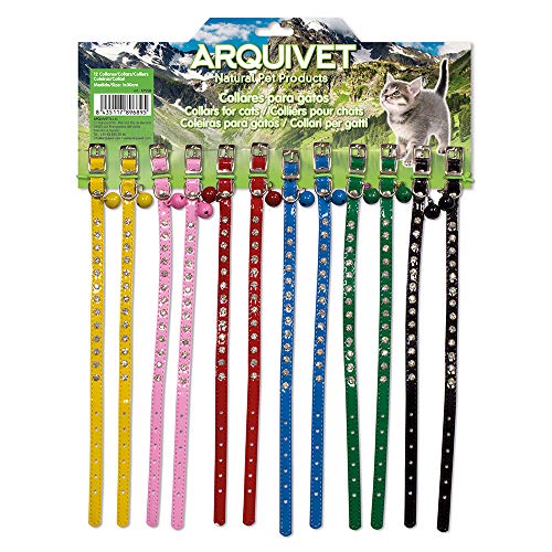 Display collares gato