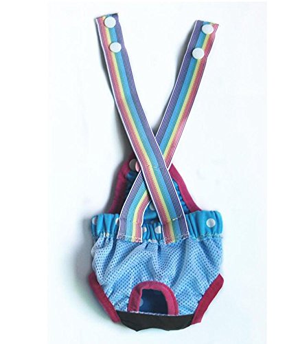 Diyafas Puntos Perros Higiene Pantalones Sanitarios Menstruales Bragas Fisiológico del Pañal