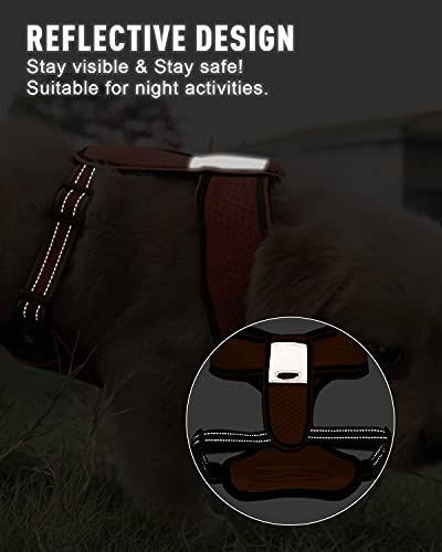 Dociote Arnés Perro con Lineas Mediano Pequeño Arnés Pecho para Cachorros Perros Pequeños y Gatos Reflecantes Transpirable Ajustable Arnés para Caminar Entrenamiento Perro Naranja XS