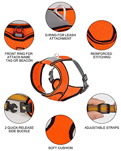 Dociote Arnés Perro con Lineas Mediano Pequeño Arnés Pecho para Cachorros Perros Pequeños y Gatos Reflecantes Transpirable Ajustable Arnés para Caminar Entrenamiento Perro Naranja XS