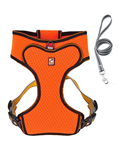 Dociote Arnés Perro con Lineas Mediano Pequeño Arnés Pecho para Cachorros Perros Pequeños y Gatos Reflecantes Transpirable Ajustable Arnés para Caminar Entrenamiento Perro Naranja XS
