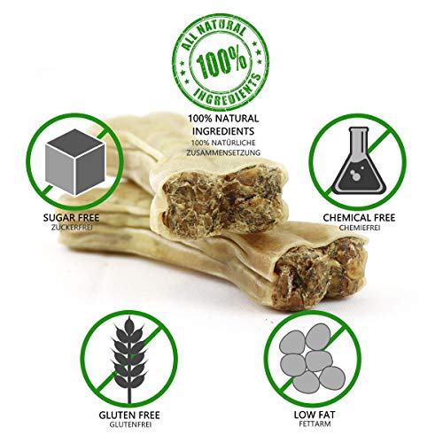 DOGBOSS Huesos masticables Ingredientes 100% Naturales, Diferentes tamaños y sabores (5 Huesos con energizantes, 12 cm)