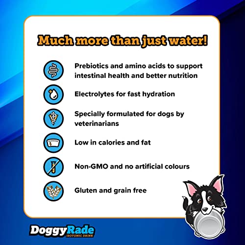 DoggyRade – Deliciosa Bebida isotónica para Perros con prebióticos, electrolitos y aminoácidos, ¡Mucho más Que Agua! (250mlx10)