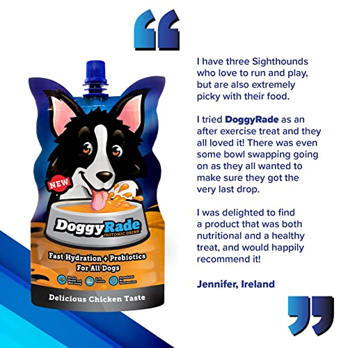 DoggyRade – Deliciosa Bebida isotónica para Perros con prebióticos, electrolitos y aminoácidos, ¡Mucho más Que Agua! (250mlx10)