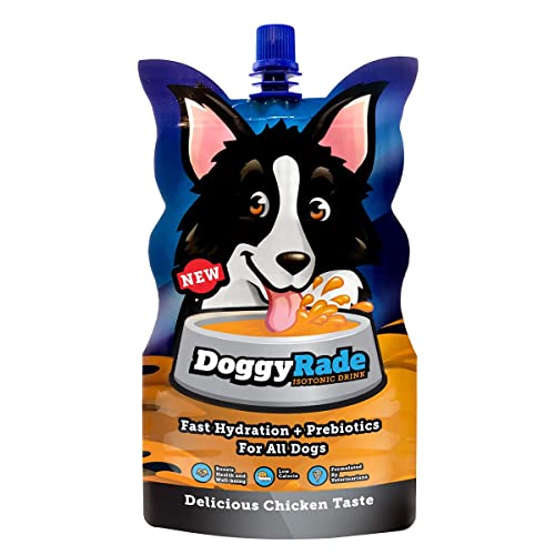 DoggyRade – Deliciosa Bebida isotónica para Perros con prebióticos, electrolitos y aminoácidos, ¡Mucho más Que Agua! (250mlx10)