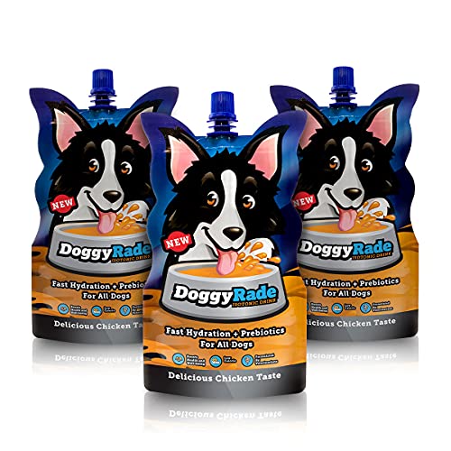DoggyRade – Deliciosa Bebida isotónica para Perros con prebióticos, electrolitos y aminoácidos, ¡Mucho más Que Agua! (250mlx10)