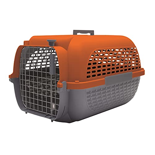 Dogit Pet Voyageur Med Naranja/Gris, Grey & Orange, M