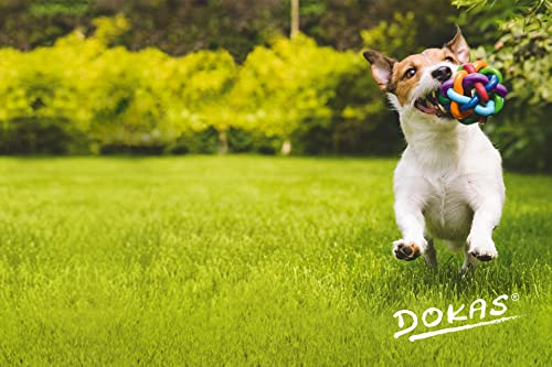 Dokas Pienso masticable Premium sin Cereales para Perros, Ideal para Viajes.