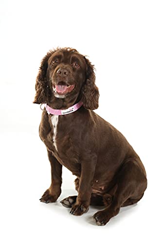 Doodlebone Originales Collar de perro (Sunshine, 6 -11)