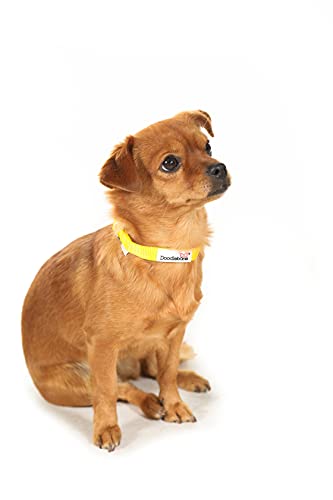 Doodlebone Originales Collar de perro (Sunshine, 6 -11)