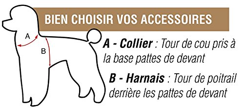 Doogy - Collar de Nailon para Perro, Cebra, Color Blanco, 10 mm x 20 – 32 cm