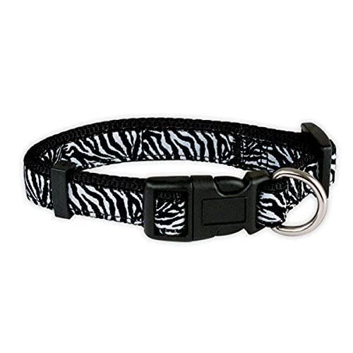 Doogy - Collar de Nailon para Perro, Cebra, Color Blanco, 10 mm x 20 – 32 cm