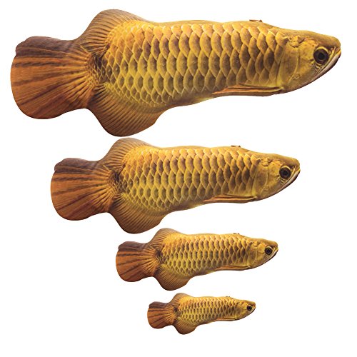 Dosige 1PCS Gato Almohadas,Juguetes de Gatos,Pez de Simulación de Felpa,Juguetes de Interior para Gatos,Juguete Dorado de Forma Arowana Size 20CM