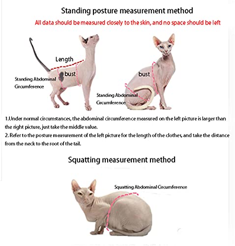 DOUJIN Ropa para Gatos sin Pelo de Sphynx/Devon, Chaleco de Terciopelo Azul para Gatos Thicken Plus-M +