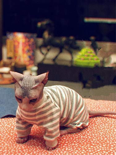 DOUJIN Sphynx Ropa de Gato sin Pelo Camisa de Cuatro Patas a Rayas Blanco Roto-S