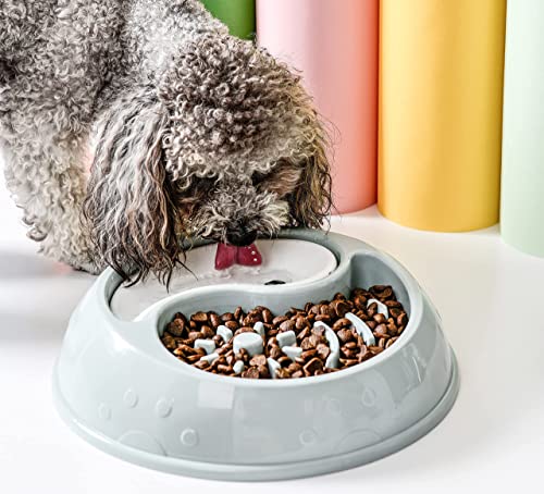 Doxie 's Premium Ying-Yang - Cuenco de agua para perros y gatos, antigoteo, sin salpicaduras, sin derrames, agua lenta y alimentador de alimentos para perros y gatos