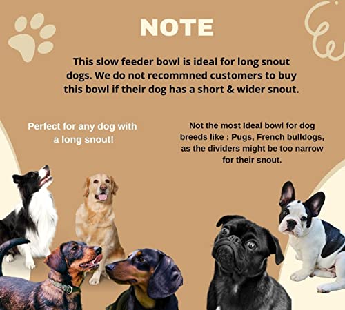 Doxie 's Premium Ying-Yang - Cuenco de agua para perros y gatos, antigoteo, sin salpicaduras, sin derrames, agua lenta y alimentador de alimentos para perros y gatos