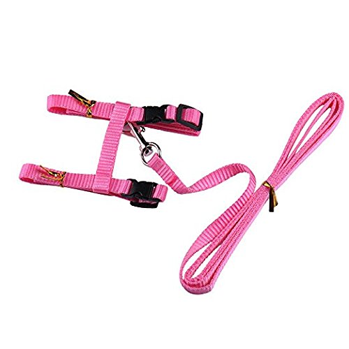 Ducomi Silvestro Arnes para Gatos – para Gatos, Conejos y Cachorros - Ideal en Paseos y Visitas al Veterinario - Correa Gato Ajustable 105cm (Pink)