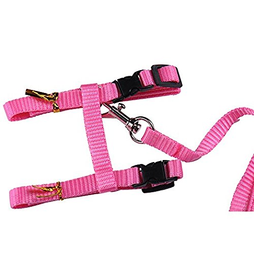 Ducomi Silvestro Arnes para Gatos – para Gatos, Conejos y Cachorros - Ideal en Paseos y Visitas al Veterinario - Correa Gato Ajustable 105cm (Pink)