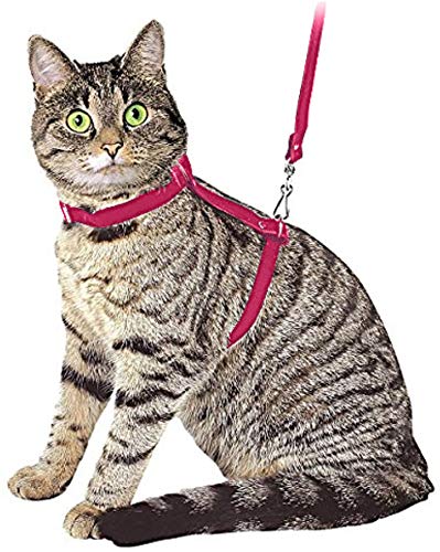 Ducomi Silvestro Arnes para Gatos – para Gatos, Conejos y Cachorros - Ideal en Paseos y Visitas al Veterinario - Correa Gato Ajustable 105cm (Pink)