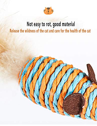 DXIA Juguetes para Gatos, Juguete del Gato, Caja de Regalo del Juguete del Gato, 7 Piezas Juguete Interactivo para Gatos con Plumas para Kitty, 7 Piezas de reemplazable Juego de Regalo