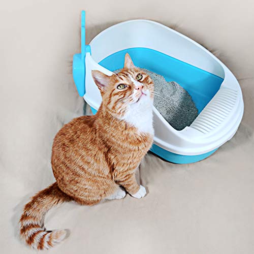 DZL Bandeja Higiénica Arenero Gatos Aseo Arenero Abierto para Mascotas Gatos 56 * 39 * 26cm Bandeja Sanitaria Plástica con Pala Bandeja Sanitaria Gatera Arenero (con Arena),color aleatorio