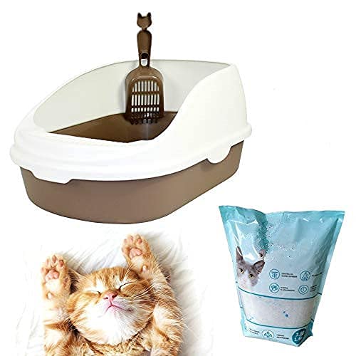 DZL Bandeja Higiénica Arenero Gatos Aseo Arenero Abierto para Mascotas Gatos 56 * 39 * 26cm Bandeja Sanitaria Plástica con Pala Bandeja Sanitaria Gatera Arenero (con Arena),color aleatorio