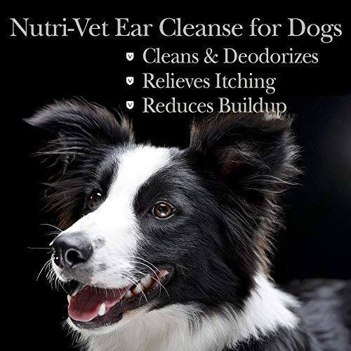 Ear Cleanse Liquid 8oz