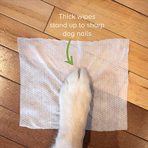 Earth Rated - Toallitas para perro y gato 100 unidades, esencia de lavanda