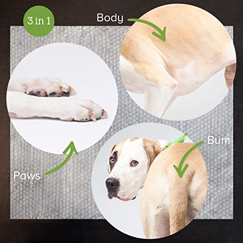 Earth Rated - Toallitas para perro y gato 100 unidades, esencia de lavanda