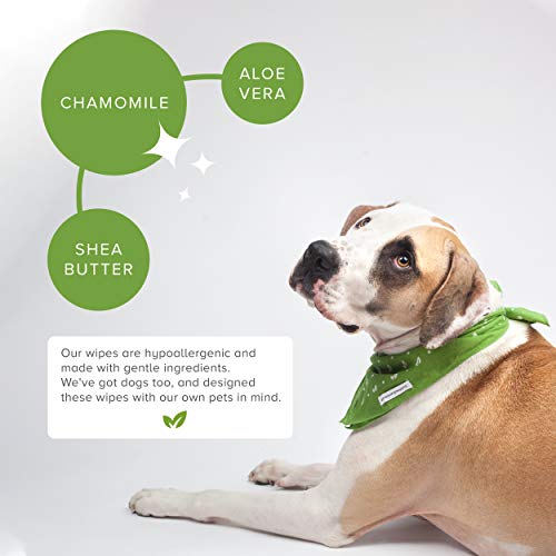 Earth Rated - Toallitas para perro y gato 100 unidades, esencia de lavanda