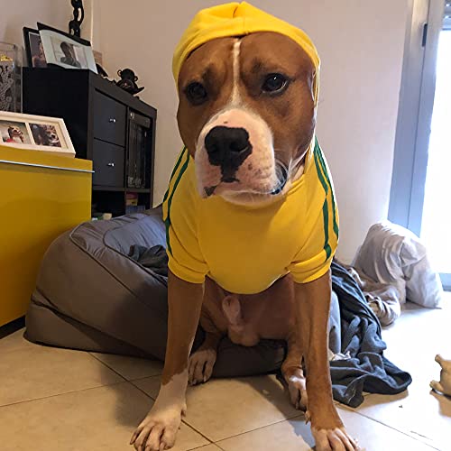Eastlion Ropa Perro Grande,Cálido Sudadera con Capucha para Perros Algodón Suéter Chaqueta Abrigo Costume Pullover para Mascota Perro Gato (Gris,3XL)