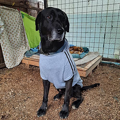 Eastlion Ropa Perro Grande,Cálido Sudadera con Capucha para Perros Algodón Suéter Chaqueta Abrigo Costume Pullover para Mascota Perro Gato (Negro,6XL)