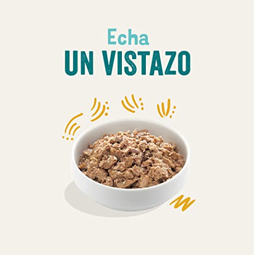 Edgard & Cooper Pienso para Perros Adultos Comida Humeda Natural, Alimento Sano, Sabroso y Equilibrado (Pavo ecológico, 100 g (Paquete de 17))