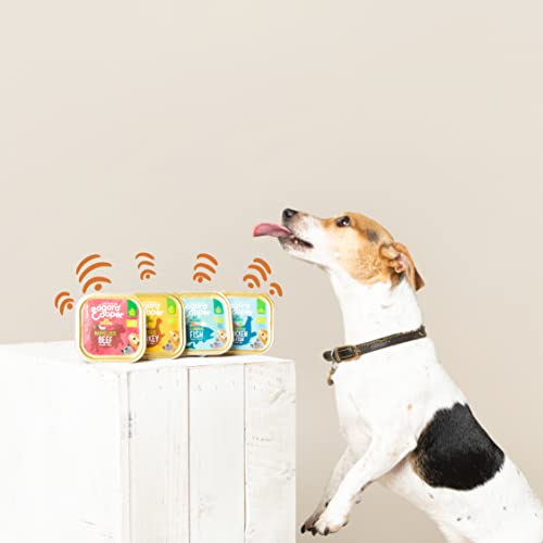 Edgard & Cooper Pienso para Perros Adultos Comida Humeda Natural, Alimento Sano, Sabroso y Equilibrado (Pavo ecológico, 100 g (Paquete de 17))
