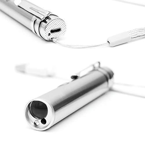 EisEyen Puntero LED para gatos, juguetes interactivos, juguete de inteligencia para gatos y perros con cable USB