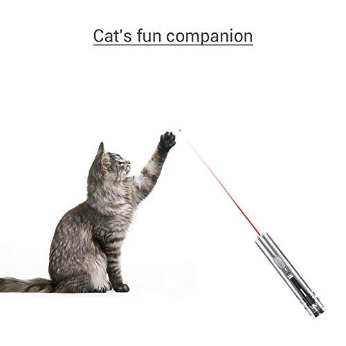 EisEyen Puntero LED para gatos, juguetes interactivos, juguete de inteligencia para gatos y perros con cable USB