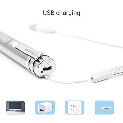 EisEyen Puntero LED para gatos, juguetes interactivos, juguete de inteligencia para gatos y perros con cable USB