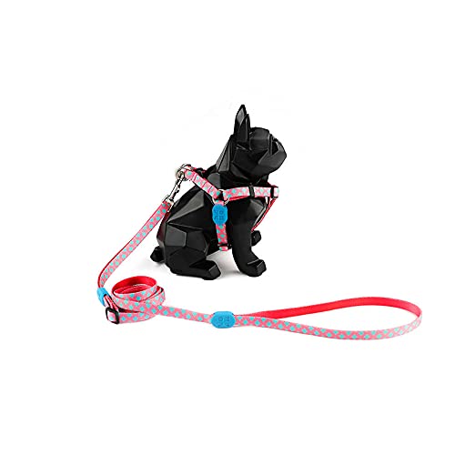 El Arnés Y Lanyard para Cachorros Son Trajes De Dos Piezas para Gatos Tamaño Exclusivo para Cachorros De Gato XS Menos De 25 Kg Pet-Totem_XS. Correa Perro Coche Arnés Perro Mediano