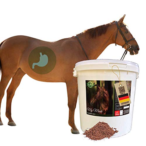 EMMA Mash Horse Feed Mezcla para la Flora intestinal intacta y la digestión Estable I Mezcla Seca I apoya la digestión, la vitalidad y el Pelo Brillante en los Caballos I Senior 2 kg