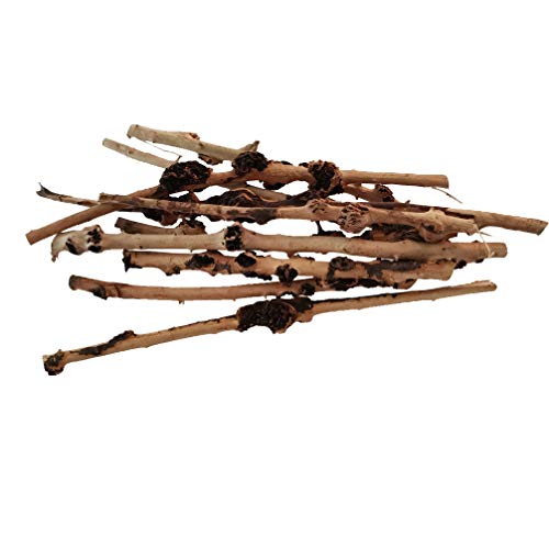 emours Decoración de reptiles de bosque natural rama terrario de madera acuario adorno de pecera, diámetro (0,2 – 1 cm) 10 unidades